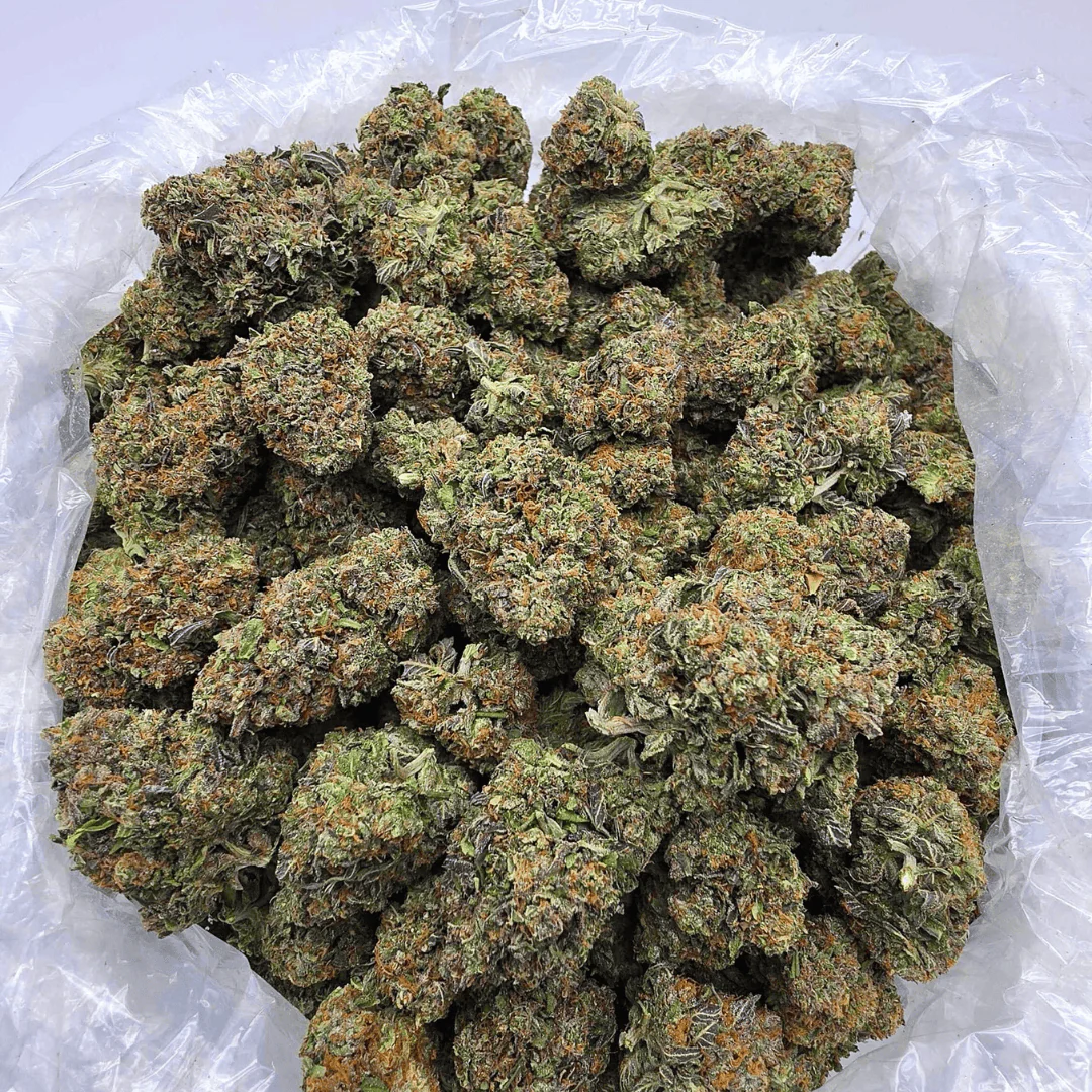 *Private Reserve* AA Grade Gaslato THCa Flower - Image 3